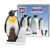 Tonies Was Ist Was - Pinguine / Tiere Im Zoo, Spielfigur -Tonies Tonies Was ist Was Pinguine Tiere im Zoo Spielfigur@@1667595
