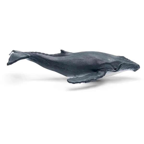 Tonies Was Ist Was - Wale & Delfine / Geheimnis Der Tiefsee, Spielfigur – Bild 2